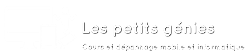 Les Petits G&eacute;nies - Formation et d&eacute;pannage informatique et mobile